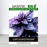 Семена базилика Ереванский Фиолетовый, 0,5кг